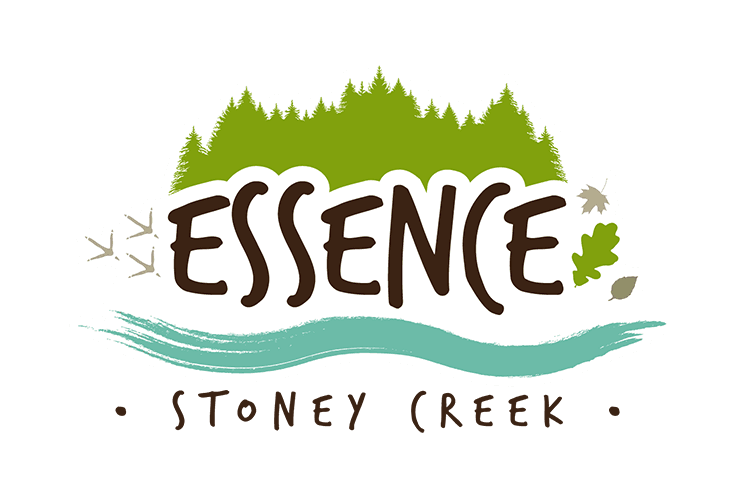 Essence rendering