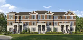 Ivylea rendering