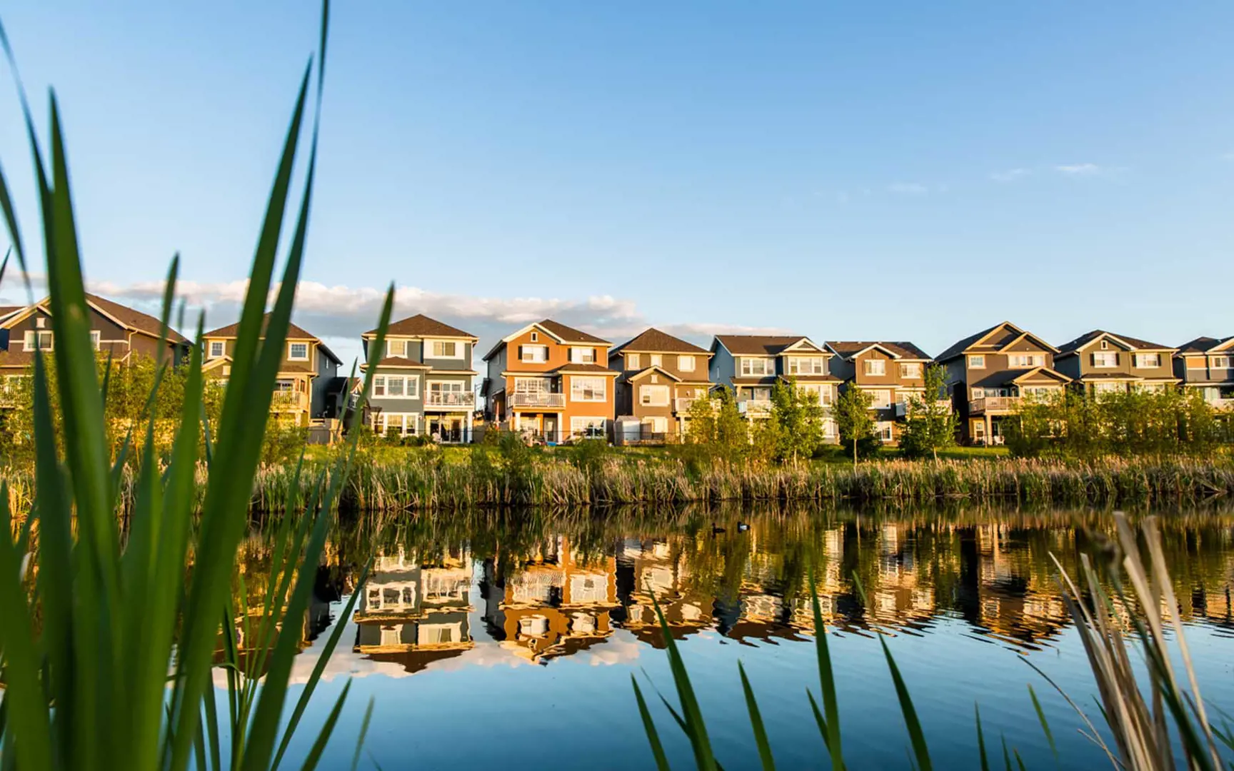 The Everly at The Orchards rendering