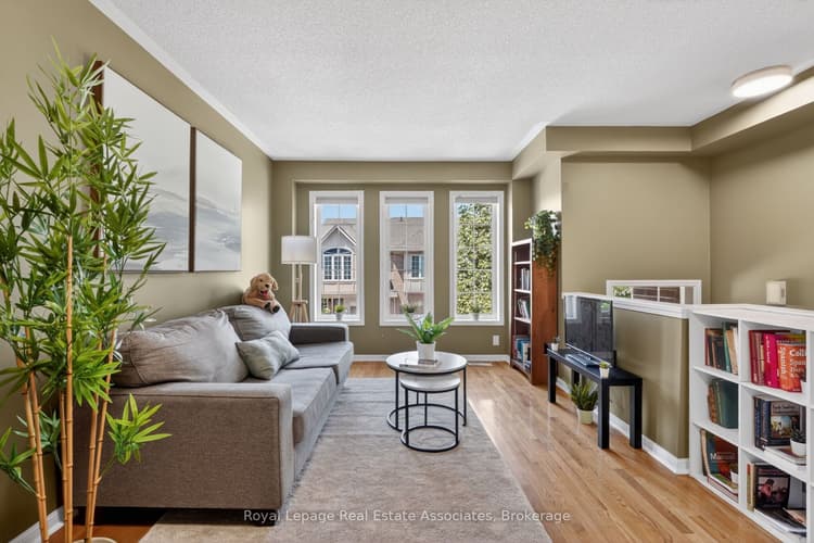 36 Palomino Trail