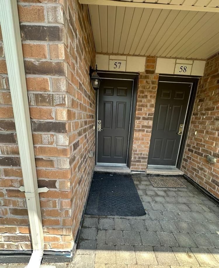 2441 Greenwich Drive