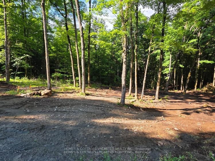 2456 CONC DALHOUSIE Concession