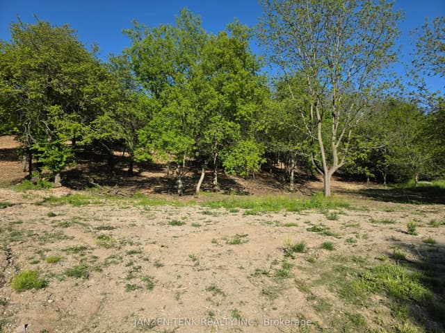 Vacant Land at 36 North Street, Bayham, ON N0J 1Z0