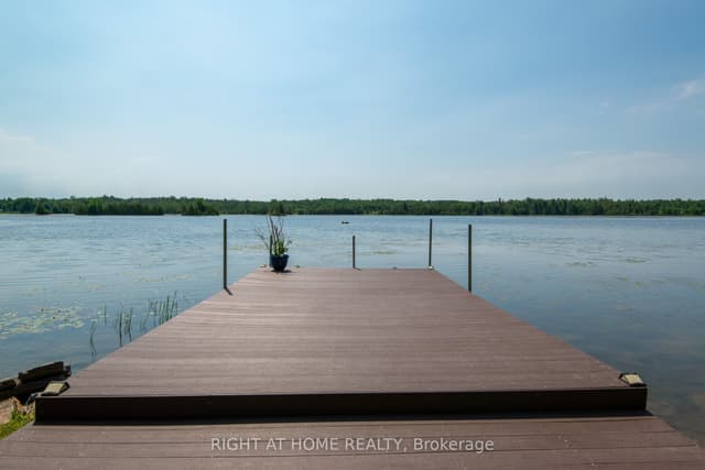 Detached at 203 Mcguire Beach Road, Kawartha Lakes, ON K0M 2B0