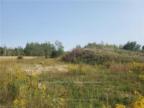 Vacant Land at 270 YOUNG Street, Southgate, ON N0C 1B0