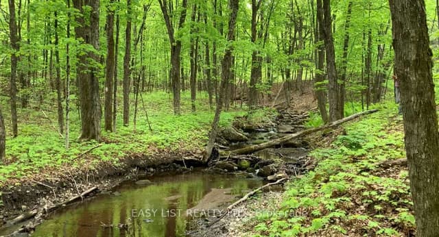 Vacant Land at Lot 1 Colonial Road, Minden Hills, ON K0M 2K0