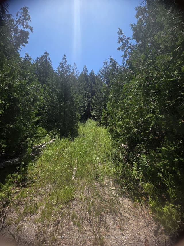 Vacant Land at N/A W GOVERNMENT RD Acres W, Tehkummah, ON P0P 2C0