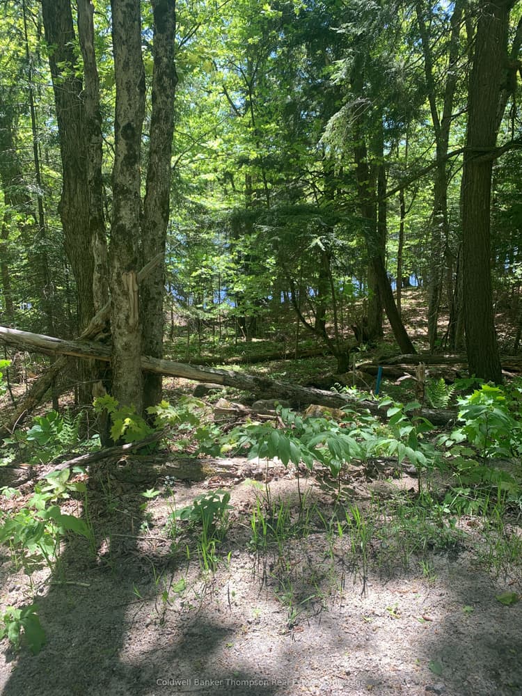 00 Wurm Road