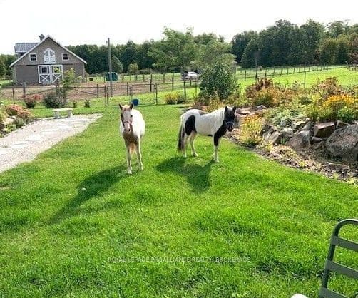 Rural Residential at 303 Escott Rockport Road, Leeds and the Thousand Islands, ON K0E 1R0