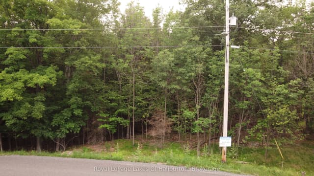 Vacant Land at 0 Dome Street, Dysart et al, ON K0M 1S0