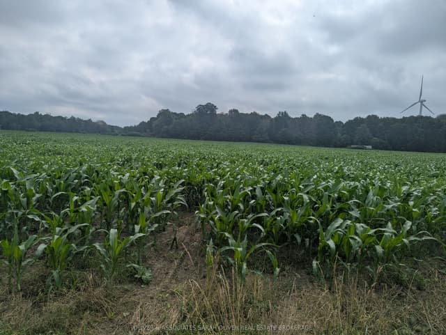 Vacant Land at 4688 Godby Road, Bayham, ON N0J 1T0