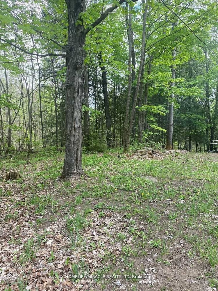 3460 Harburn Road