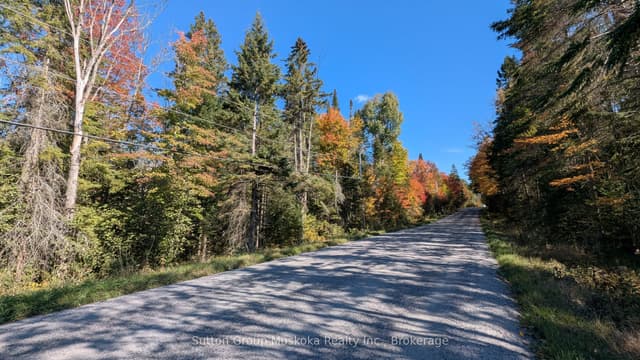 Vacant Land at 00 Savage Settlement Road, Perry, ON P0A 1Y0