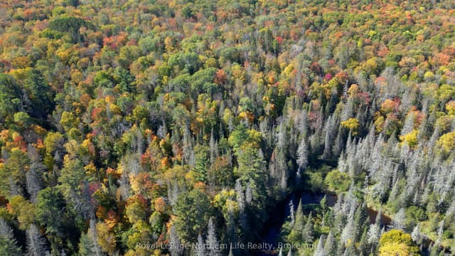 Vacant Land at PT LT 5 CON 14 SOUTH HORN LAKE Road, Armour, ON P0A 1C0