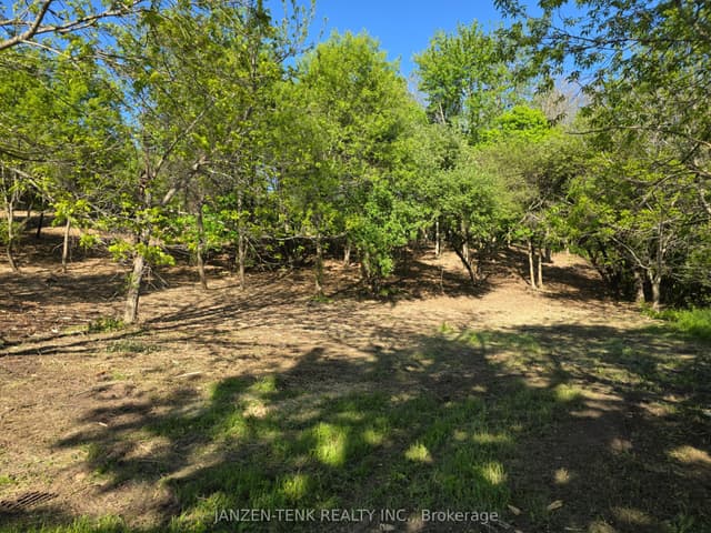 Vacant Land at 40 North Street, Bayham, ON N0J 1Z0