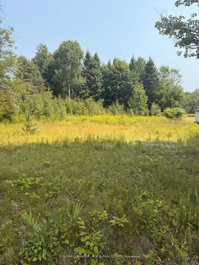 Vacant Land at 3995 Boulter Road, Carlow/Mayo, ON K0L 1G0