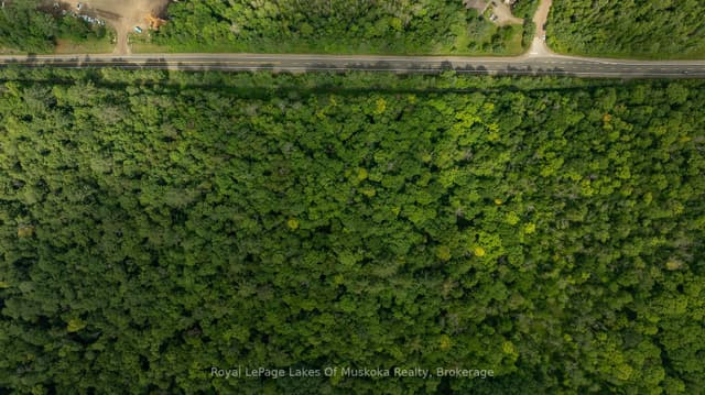 Vacant Land at 2750 Muskoka 117 Road, Lake of Bays, ON P0B 1A0