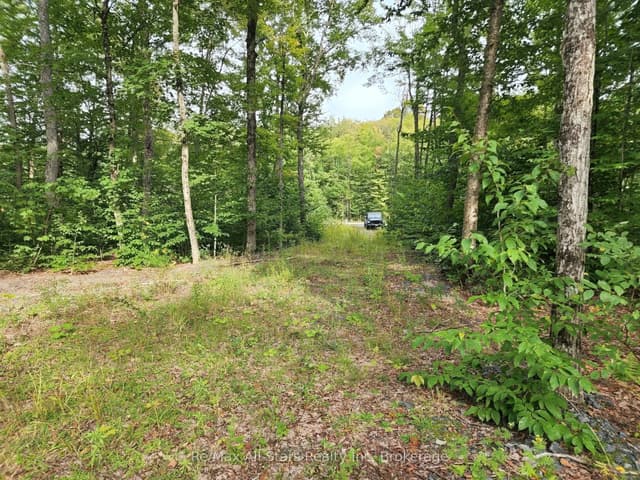 Vacant Land at 3480 Brunel Road, Lake of Bays, ON P1H 2J3