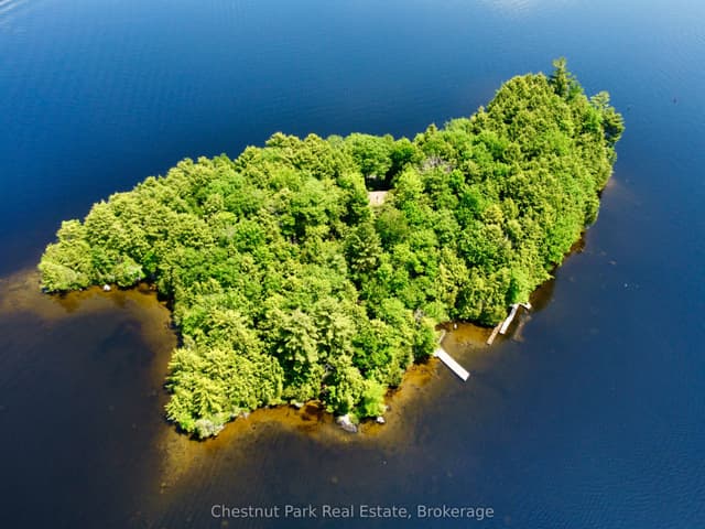 Detached at 1 Cedar Island, Muskoka Lakes, ON P0B 1J0