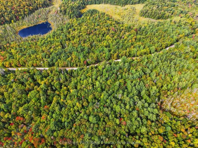 Vacant Land at 00 Paint Lake Road, Lake of Bays, ON P0B 1A0