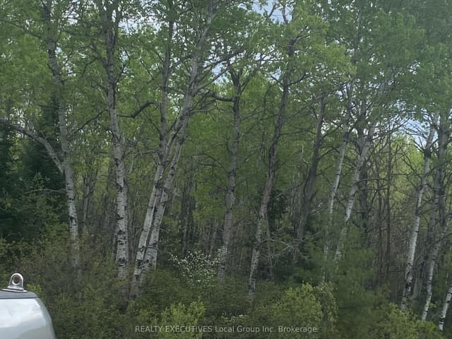 Vacant Land at LOT 33 RUTHERGLEN Line, Bonfield, ON P0H 2E0