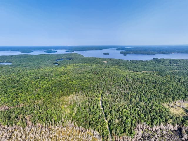 Vacant Land at 1045 C BROWNS BRAE Road, Lake of Bays, ON P0B 1A0