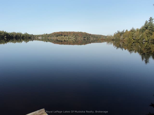 Other at 1071 Dotty Lake Road, Lake of Bays, ON P0A 1H0