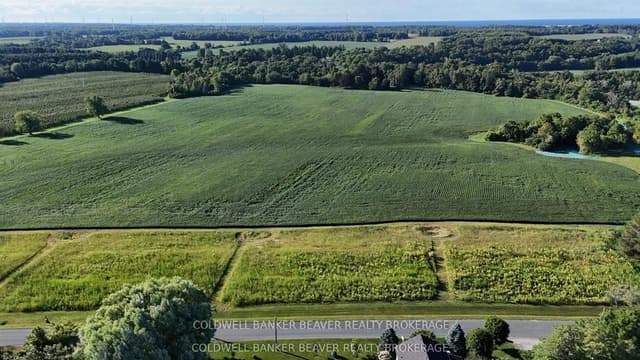 Vacant Land at 32 Chapel Street, Bayham, ON N0J 1Z0