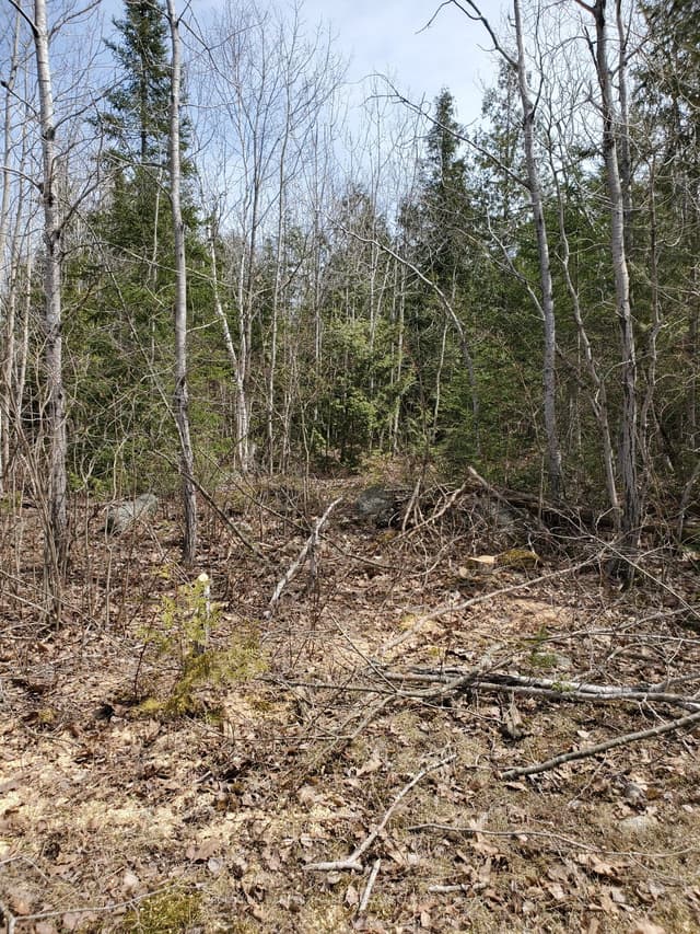 Vacant Land at 13476 N Hwy. 542 Highway, Gordon/Barrie Island, ON P0P 1H0