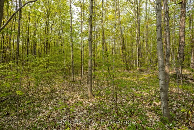 Vacant Land at PT LOT 20 CON 5, Chatsworth, ON N0H 1G0