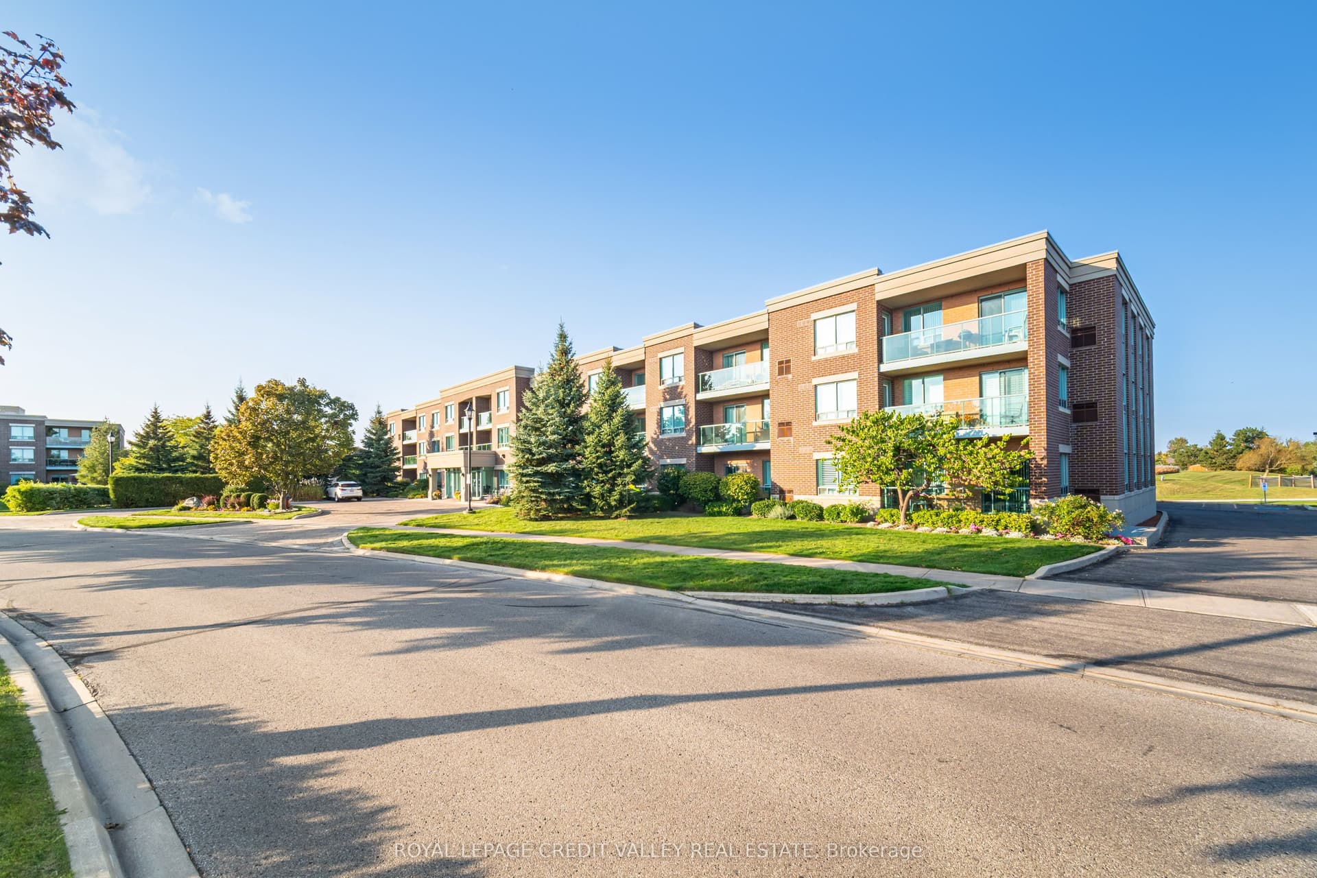 Suite 204 · Floor 2, Unit 204 · 55 Via Rosedale