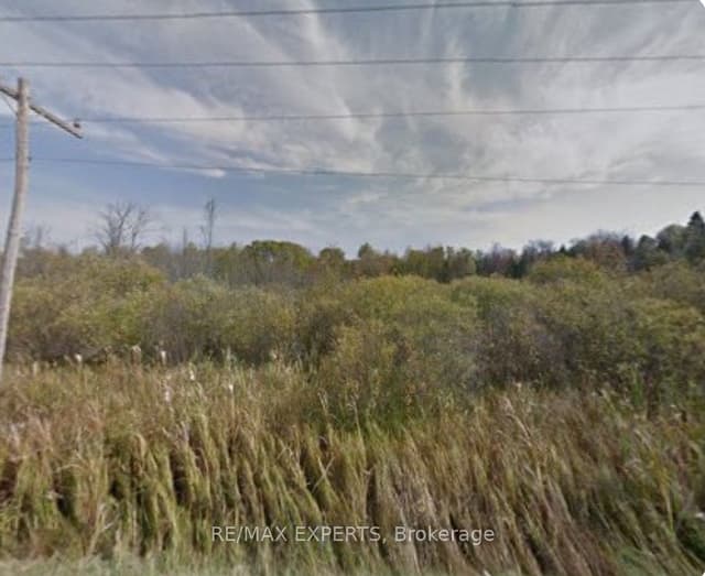 Vacant Land at 21620 York Durham Line, East Gwillimbury, ON L0E 1T0