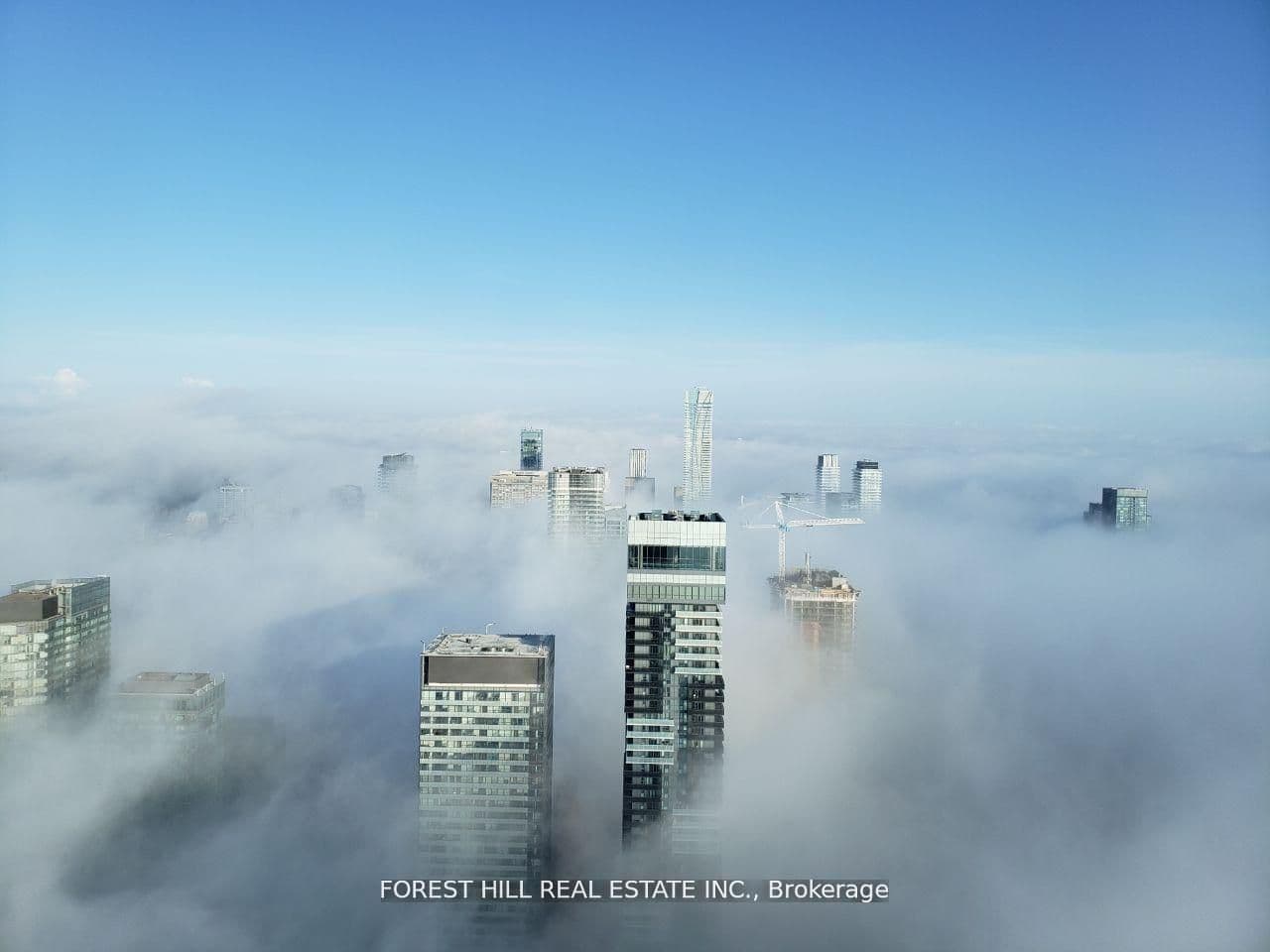 Suite 7401 · Floor 74, Unit 7401 · 388 Yonge St