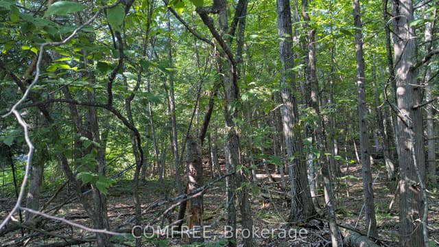 Vacant Land at 4853 Opeongo Road, Constance Bay - Dunrobin - Kilmaurs - Woodlawn, ON K0A 3M0
