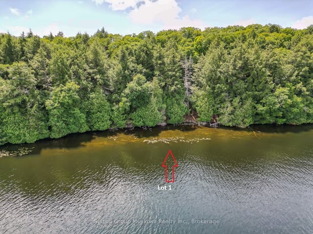 Vacant Land at LOT 1 ESIG Lane, Lake of Bays, ON P1H 2J6