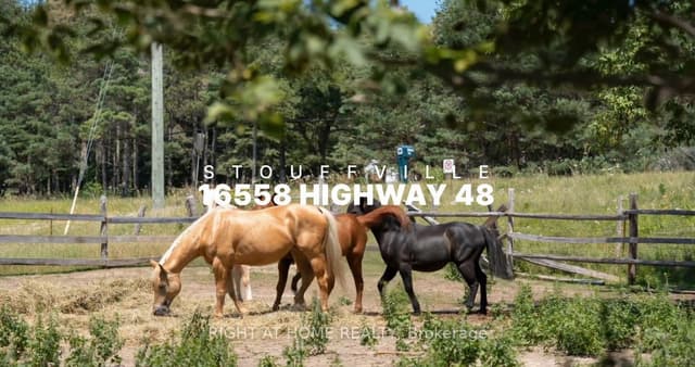 Detached at 16558 Highway 48, Whitchurch-Stouffville, ON L4A 7X4