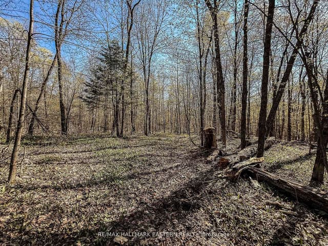Vacant Land at 2494 Hadlington Road, Highlands East, ON K0L 3K0
