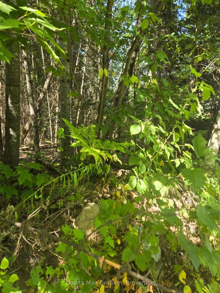 0 MacDuff Road Acres
