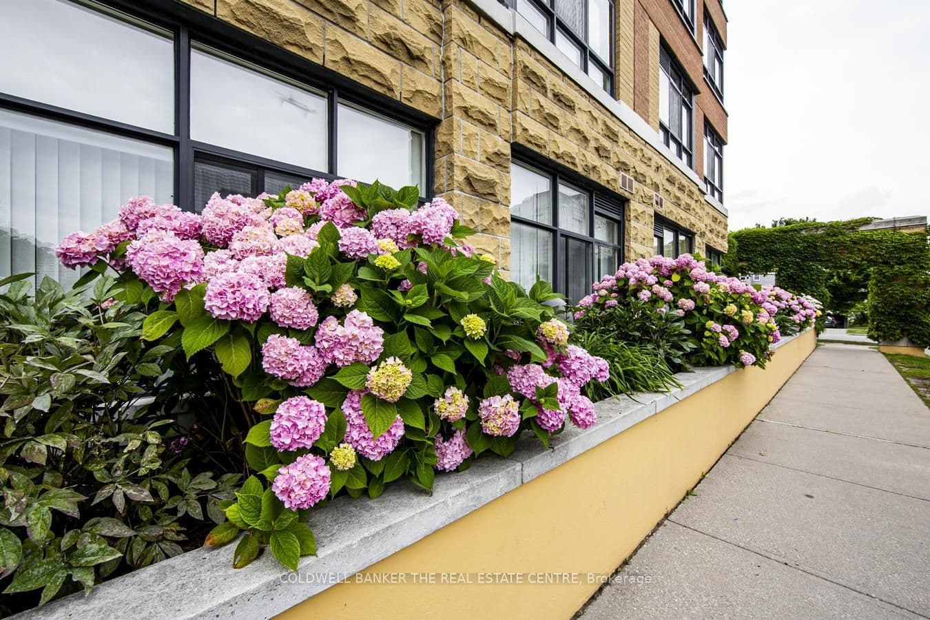 Suite 510 · Floor 5, Unit 510 · 115 Bonis Ave