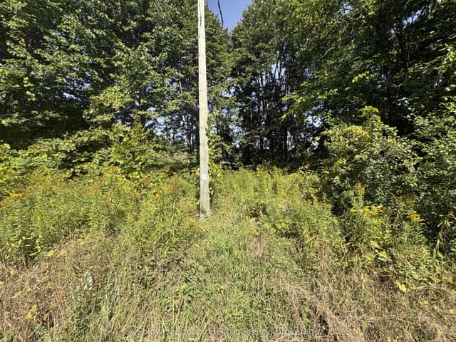 Vacant Land at 00 Ingham Road (Lot 2 - East), Alnwick/Haldimand, ON K0K 1C0
