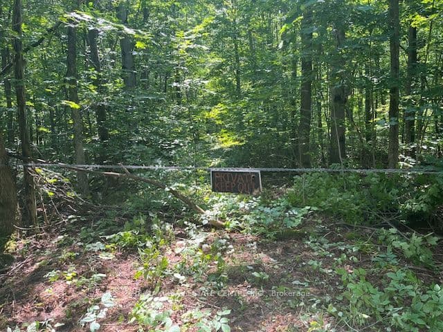 Vacant Land at PT LT44 Chatsworth 24 Road, Chatsworth, ON N0H 1R0