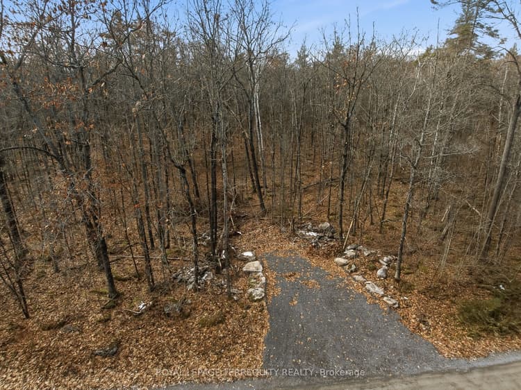 64 Maple Road