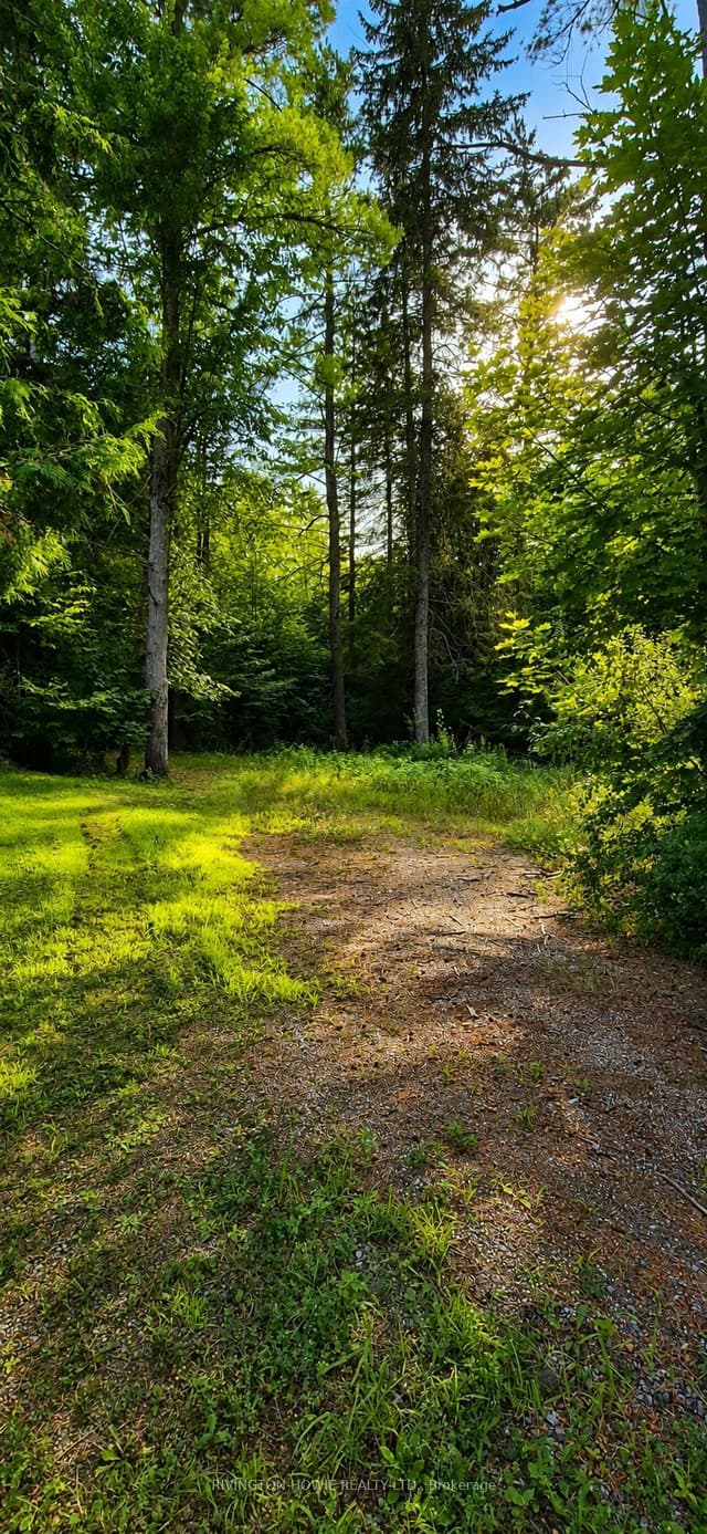 Vacant Land at 5045 Opeongo Road, Constance Bay - Dunrobin - Kilmaurs - Woodlawn, ON K0A 3M0