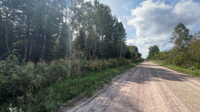 Vacant Land at Lot 29 Concession 2, Grand Desert Road, Bonfield, ON P0H 2E0