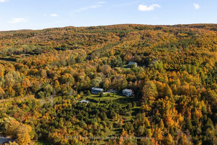 529685 Pretty River Rd. Townline