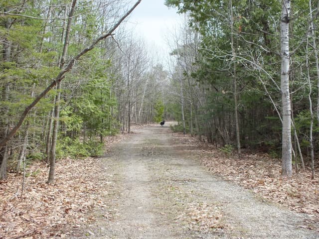 Vacant Land at N/A Dial Road N, Central Manitoulin, ON P0P 2C0