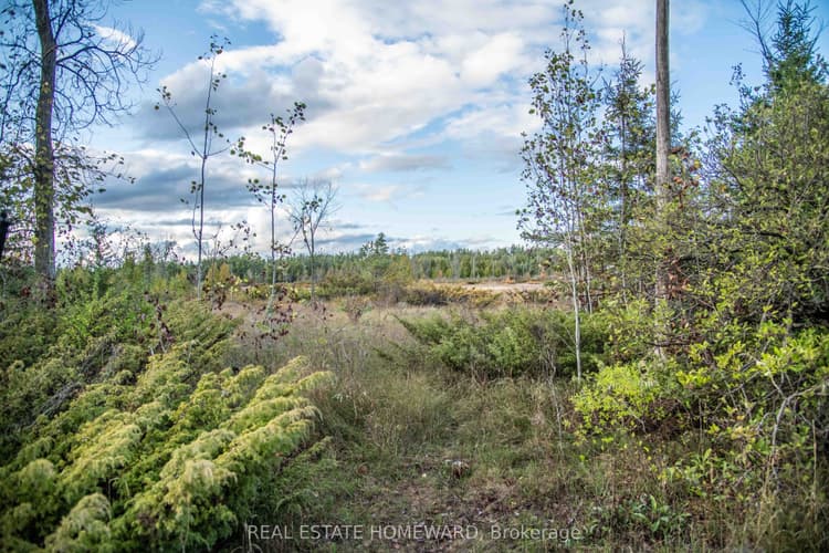 Lot 256 McGuire Beach Road
