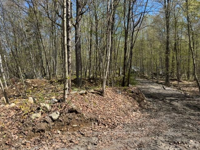 Vacant Land at 0 Mag View Drive, Armour, ON P0A 1C0