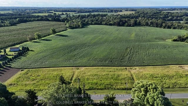 Vacant Land at 36 Chapel Street, Bayham, ON N0J 1Z0