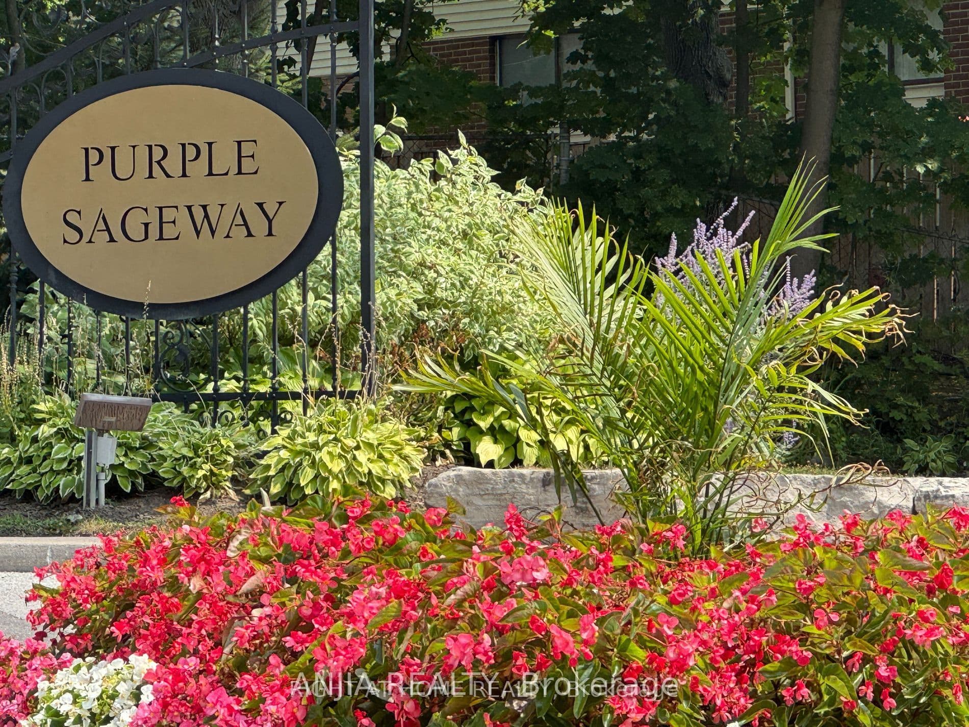 7 Purple Sageway N/A in M2H
